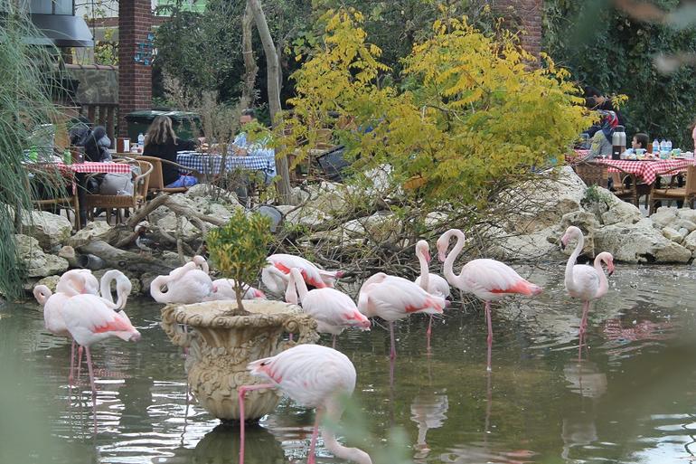 Çatalca Marka Tescili